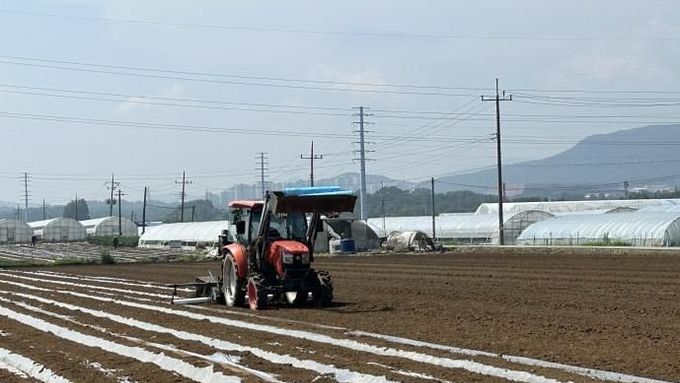 아산시, 배추 씨스트선충 확산 차단을 위한 선제적 방제 체계 본격화
