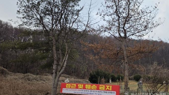 금산군, 소나무재선충병 방제수칙 준수 당부