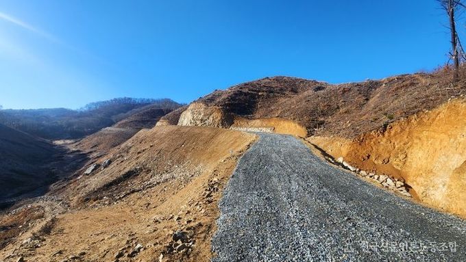 금산군, 산림 경영 및 재난 대응 임도 확충 사업 착수