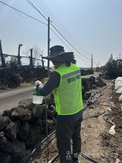 제주농업기술원, 비래해충 예찰 강화…초기 방제 중요