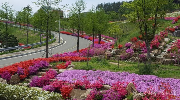 고원화목원 철쭉동산