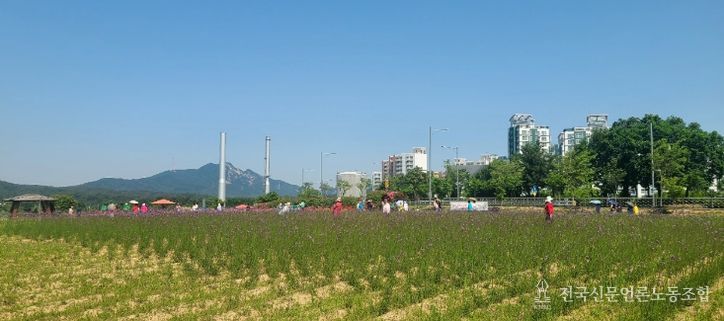 양주시 나리농원, 봄 무료개장 1.2만 명 방문…가을엔 입장료 쿠폰제 도입