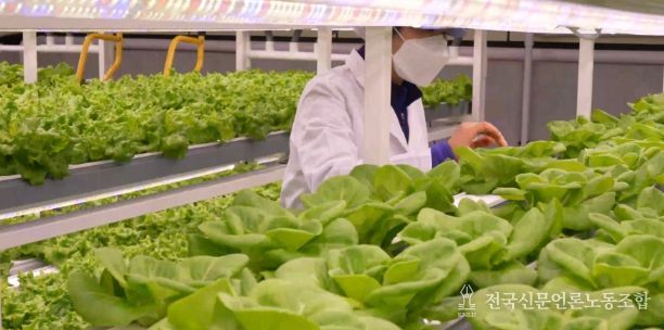 2025년 지역자활센터 성과 및 지역특화사업 평가‘우수기관’선정