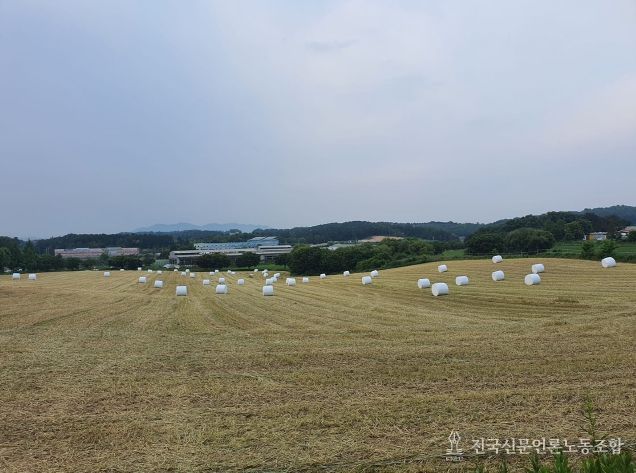충북도, ‘2026년 조사료 전문단지·가공시설’ 공모 선정