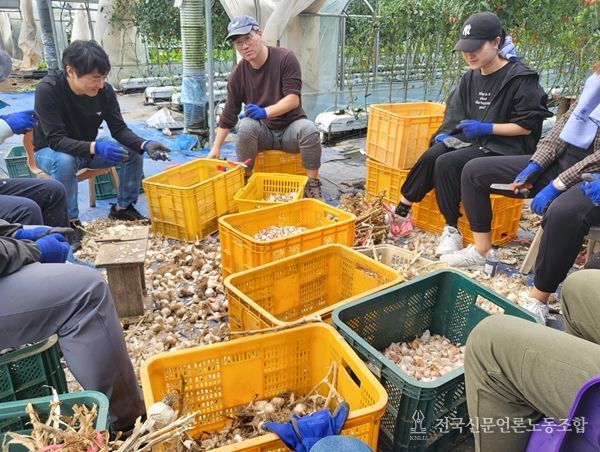 강원특별자치도 일자리청년과, 농촌 일손돕기