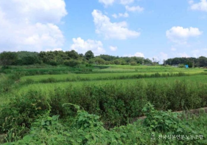 ‘군산 개사동 패총’ 조사지역 전경