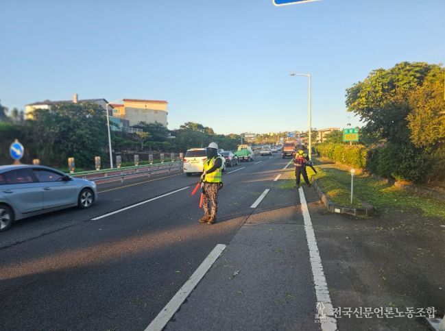 2025년 주요 도로 예초작업 등 환경정비 마무리(평화로)