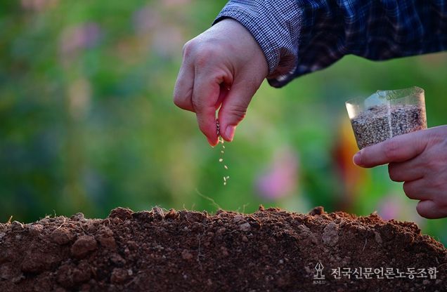 제1회 국립종자원 종자사진 공모전 수상작(대상(농식품부장관상) 수상자 : 강미자 작품명 : 참깨씨 뿌리기)
