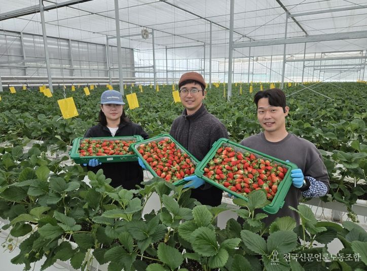 남상주농협, 금실 품종 첫 선적, K(케이)-딸기 글로벌 경쟁력 강화