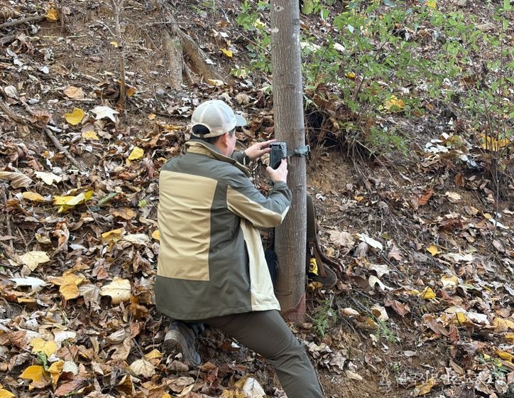 충북도 청남대, 야생동물 서식 환경 조사