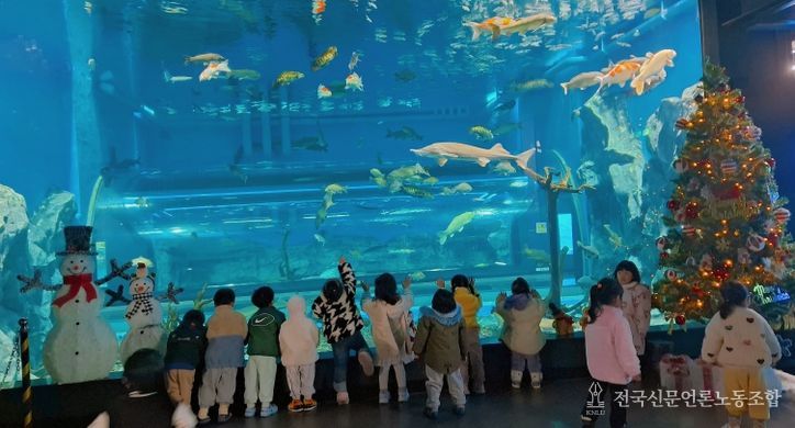 충북아쿠아리움에서 만나는 특별한 크리스마스