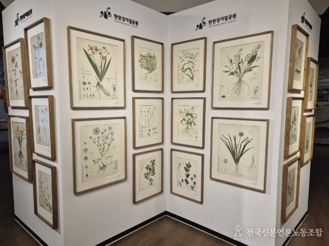 포천시, 한탄강의 아름다운 색채를 담은 압화 전시 개최