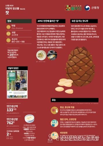 2025 이달의 임산물-12월 `잣`