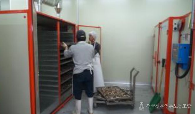 약용작물(백출) 건조