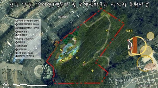 안양시, 병목안시민공원 맹꽁이・오색딱따구리 서식처 복원…국비 4.4억 확보