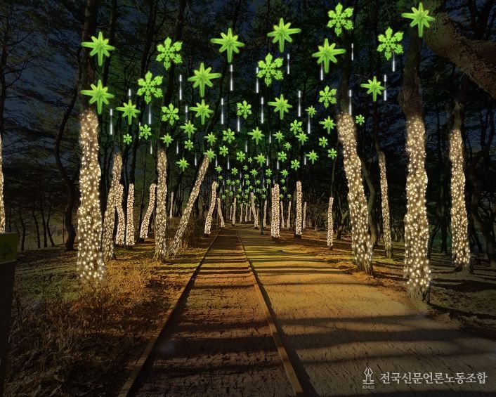 경북도, 천년숲에 겨울밤 밝히는 경관조명