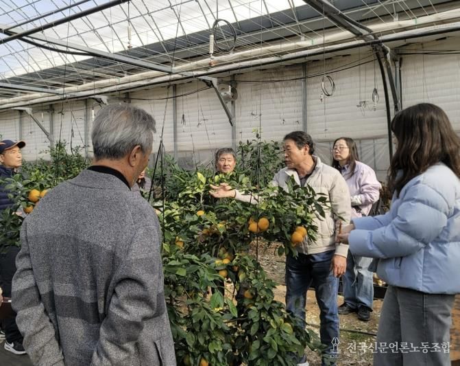 광주시, 감귤 재배 농가 대상 겨울전정 현장 자문 실시