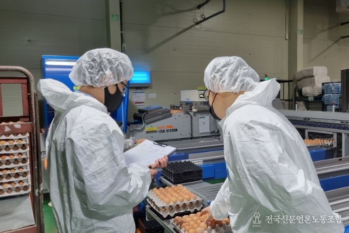식용란 선별 포장업 점검