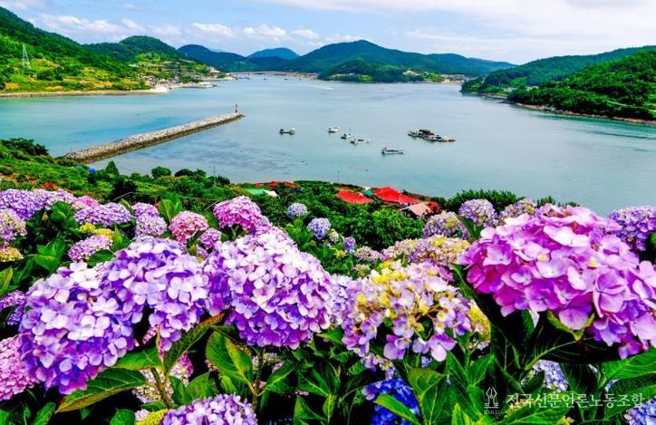 고흥군 쑥섬, 문체부 로컬100 선정... 관광 브랜드 경쟁력 강화 (2) - 쑥섬