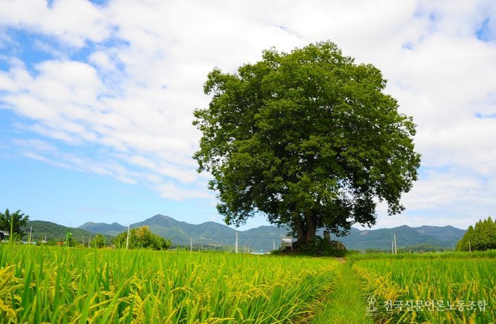 GAP 인증 확대 지원