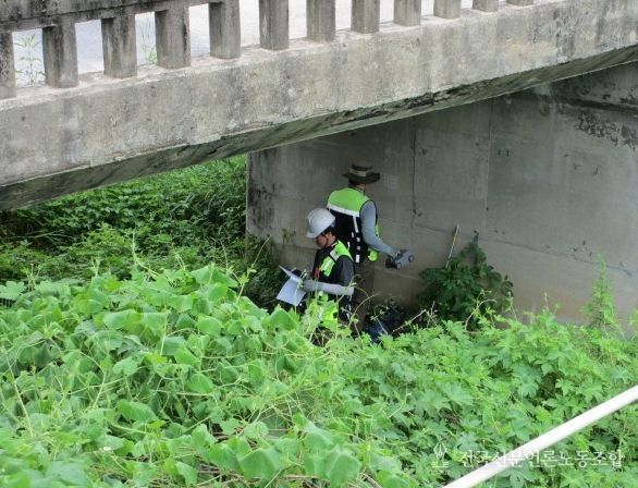 충주시, 세포교·황산교 긴급보수