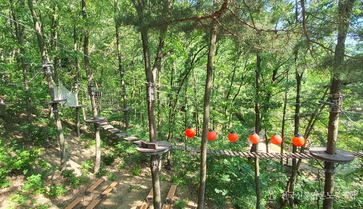 내달 태조산 산림레포츠단지 개장