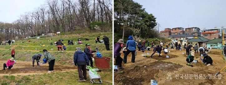 은평구 친환경 나눔텃밭 활동 모습