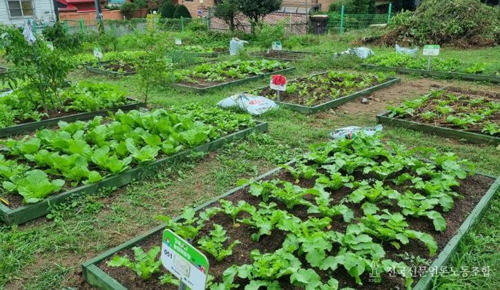 강북 도시농업 체험장 전경