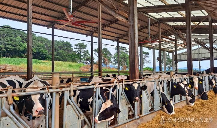 여주시, 225억 원 투입 ‘2026년 축산·방역 지원사업’ 추진