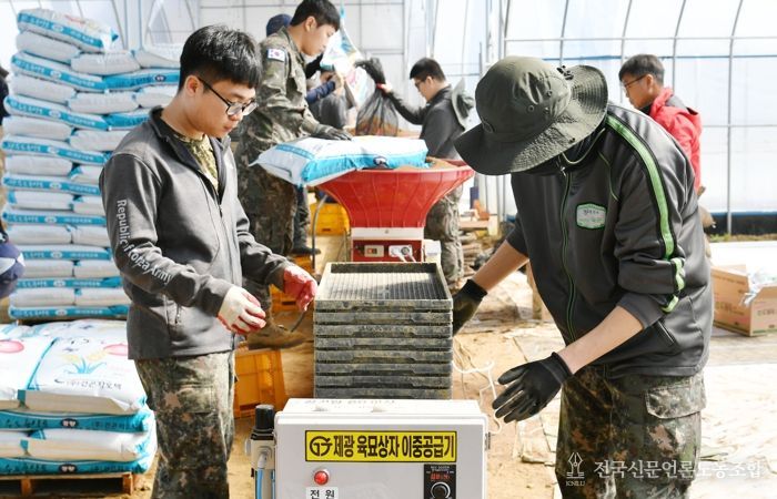 지난해 3월, 상서면 육묘은행 못자리 설치 현장에서 군장병들이 고령 농업인을 위해 대민지원에 나서고 있다