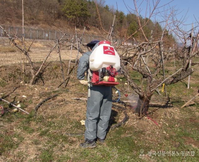 복숭아 병해충 선제 대응, 동계 방제