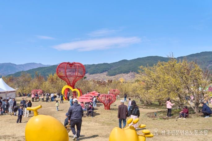 화엄사 홍매화 개화 맞아 환경정화 활동