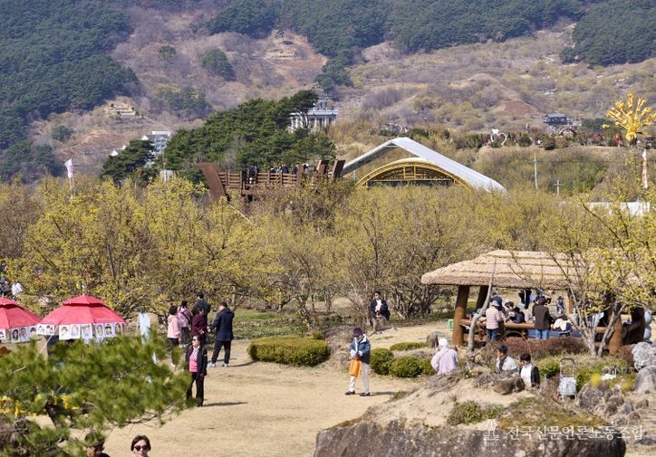 제27회 구례산수유꽃축제 성공적으로 마무리