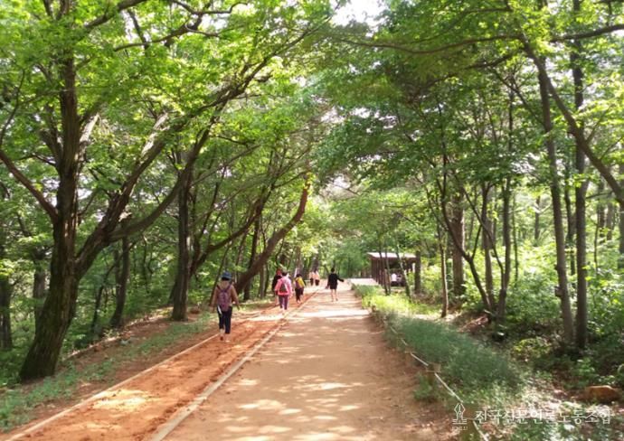 김해시 분성산 생태숲 황톳길 개장