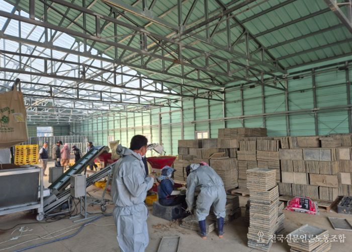 울진군, 기후변화 대응‘못자리 10일 늦추기’추진