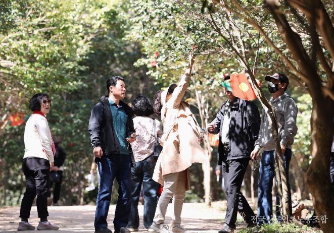 강진 백련사 동백축제 모습.