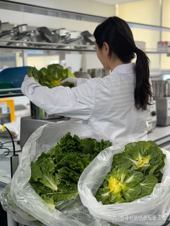 봄철 다소비 농산물 안전성 검사 사진