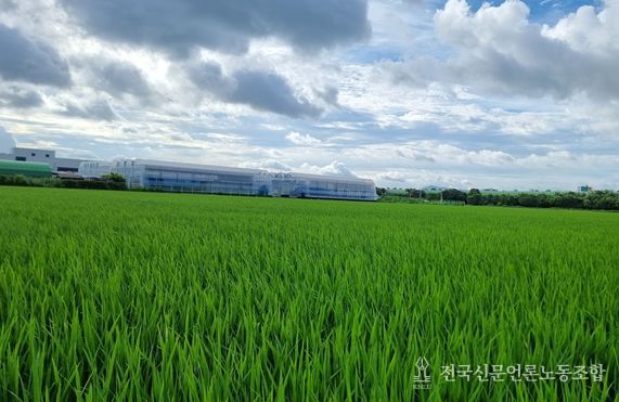 벼 발아율 저하 대비 현장지도 강화