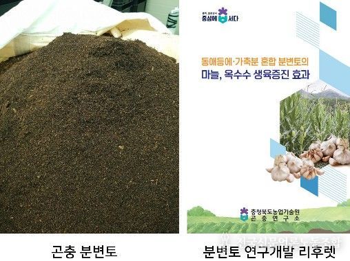 충북농기원, 검증 기술로 곤충 농가 경영비 부담 완화