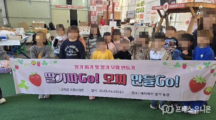 드림스타트 딸기따기체험