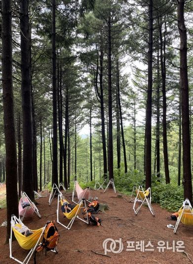 국립횡성숲체원 힐링타임 프로그램 참가자들이 해먹 체험을 하고 있다. 한국산림복지진흥원 국립횡성숲체원 제공