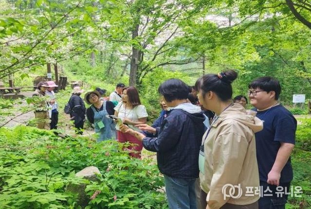 산림교육 프로그램 참여자 모습. 한국산림복지진흥원 국립횡성숲체원 제공