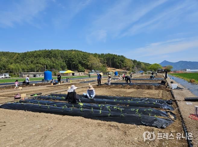 고성군, 주말농장 개장! “농업 체험하며 힐링”
