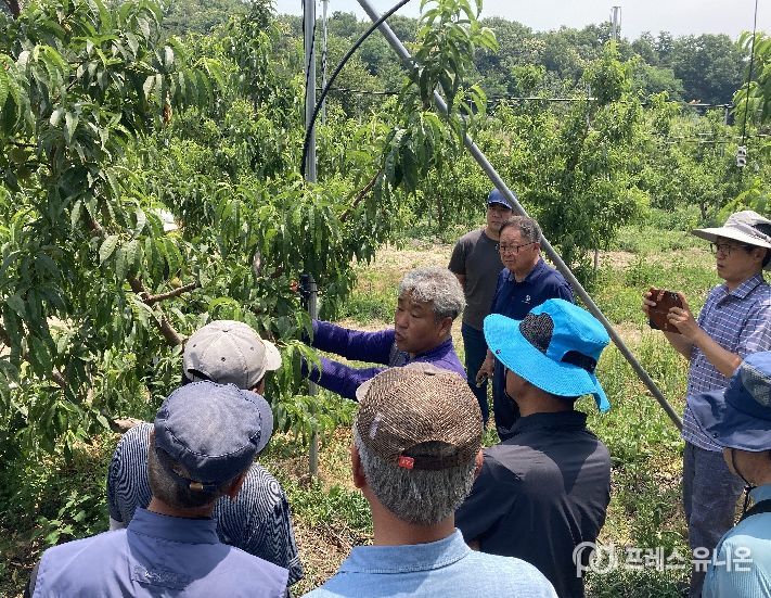 2025년 교육 사진