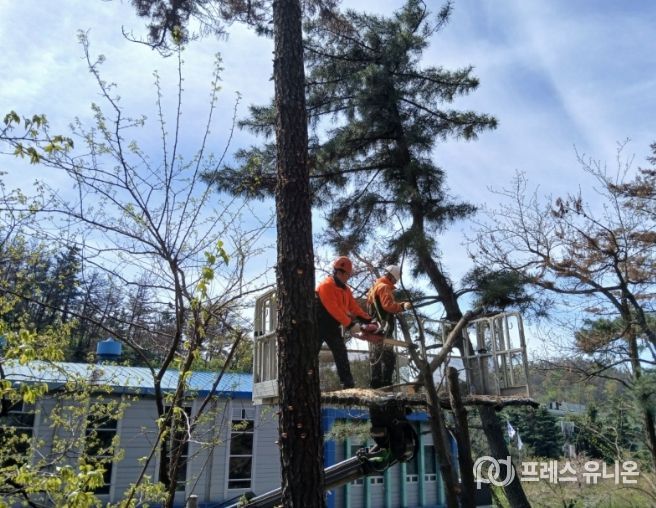포항시가 태풍과 집중호우 등 재해로부터 시민의 생명과 재산을 보호하기 위해 ‘2026년 상반기 재해위험목 제거사업’을 본격 추진한다.
